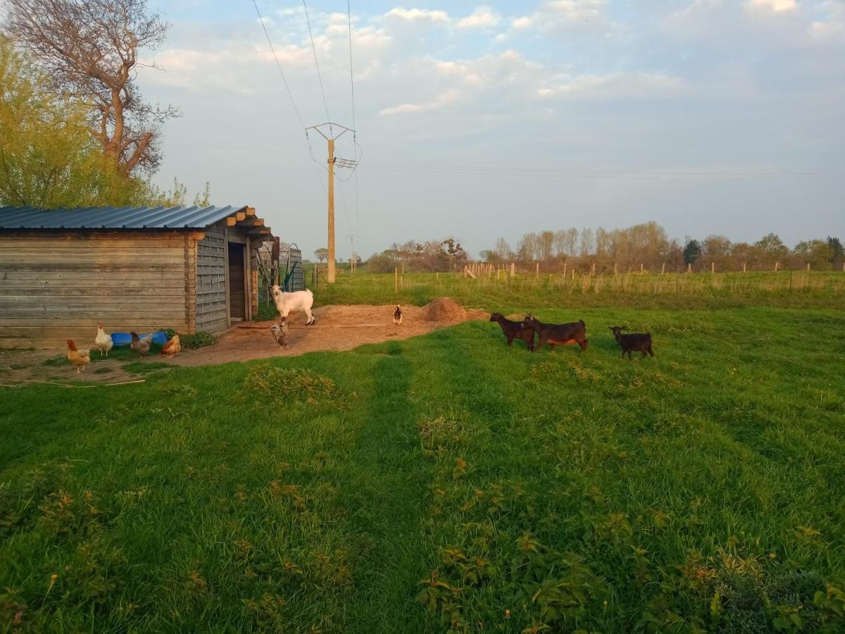 La Ferme D' Emerentine Bacilly Dış mekan fotoğraf