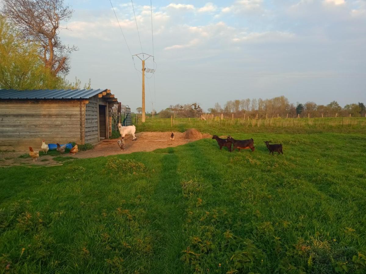 La Ferme D' Emerentine Villa Bacilly Dış mekan fotoğraf