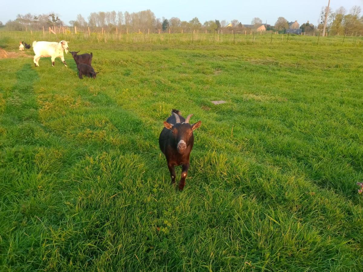 La Ferme D' Emerentine Villa Bacilly Dış mekan fotoğraf